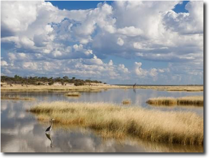 Water pan with bird and giraffe